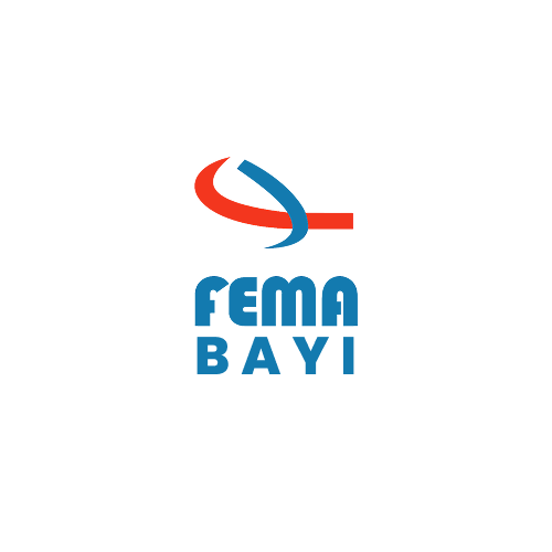 Fema Bayi